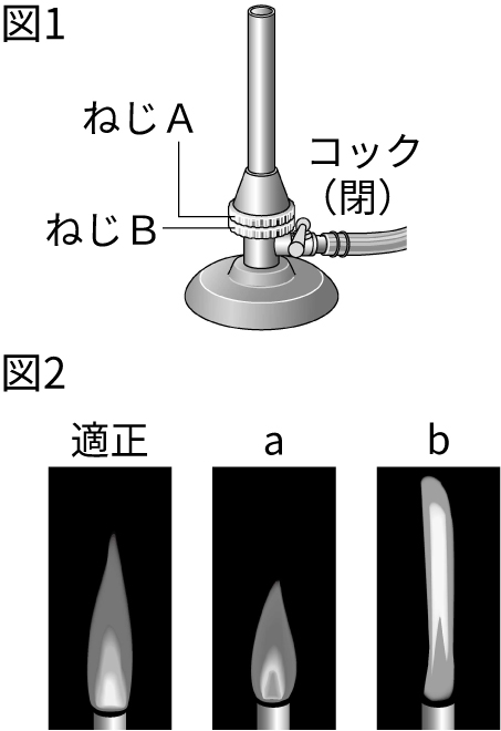 たしかな理科の学習