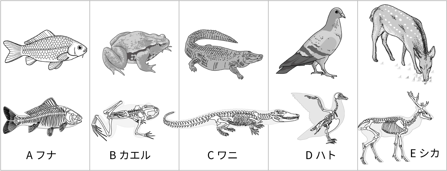 理科ノート